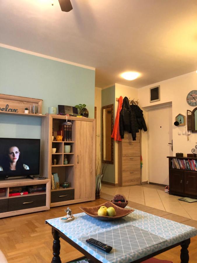 Cosy Apartment-Private Parking Ζάγκρεμπ Εξωτερικό φωτογραφία
